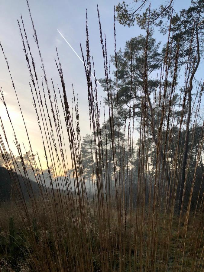 Het Natuurhuisje Op De Veluwe Nunspeet Dış mekan fotoğraf