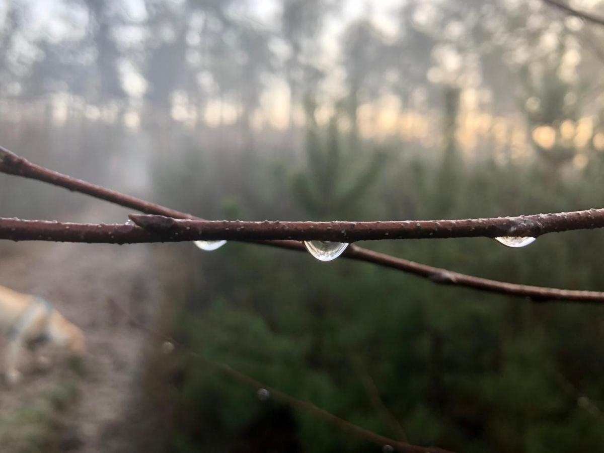 Het Natuurhuisje Op De Veluwe Nunspeet Dış mekan fotoğraf