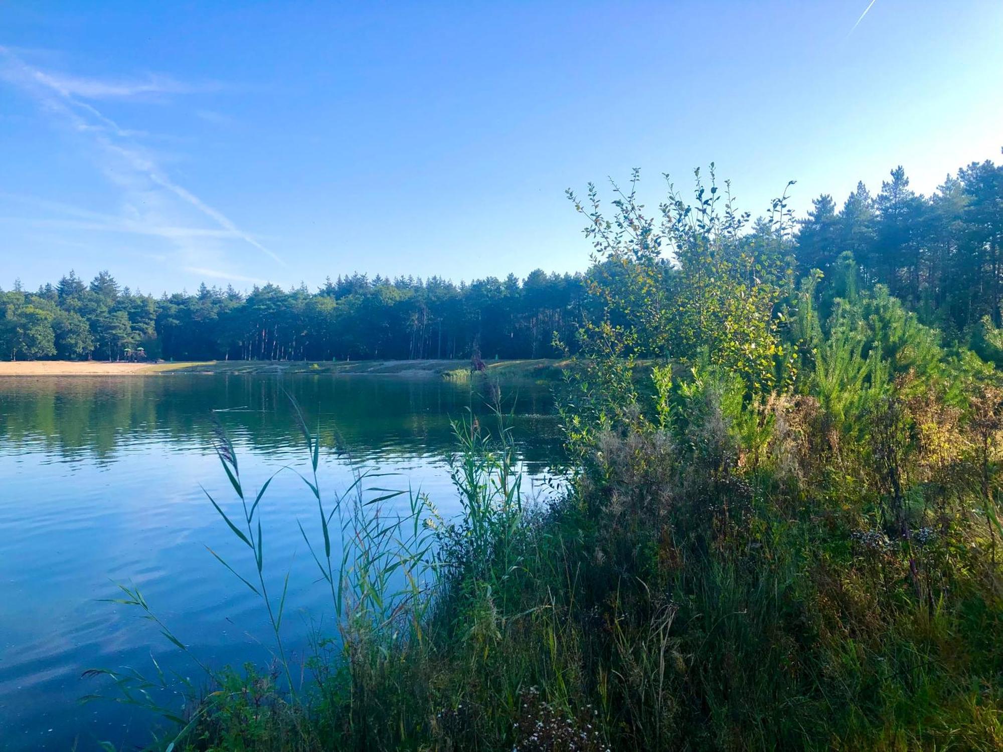 Het Natuurhuisje Op De Veluwe Nunspeet Dış mekan fotoğraf