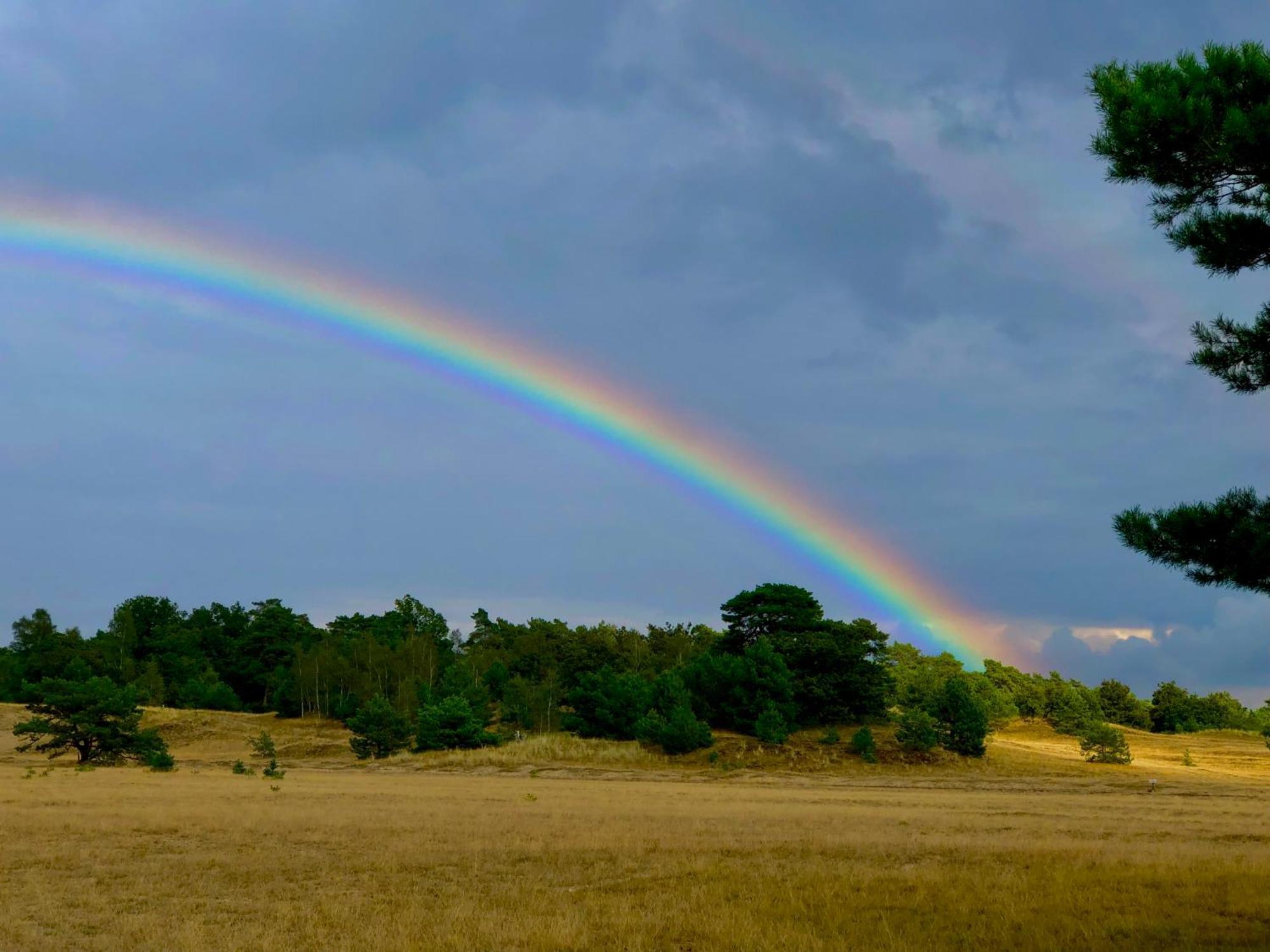 Het Natuurhuisje Op De Veluwe Nunspeet Dış mekan fotoğraf